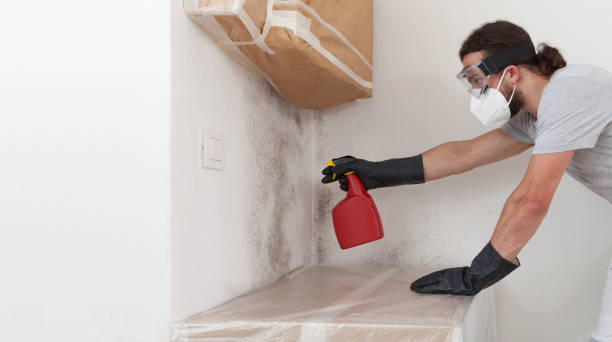 Professional Mold Removal technician working in Chester, NJ