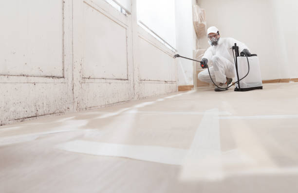 24/7 Emergency Mold Removal experts in Chester, NJ